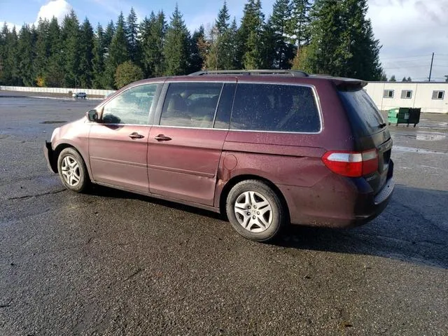 5FNRL38667B449364 2007 2007 Honda Odyssey- Exl 2