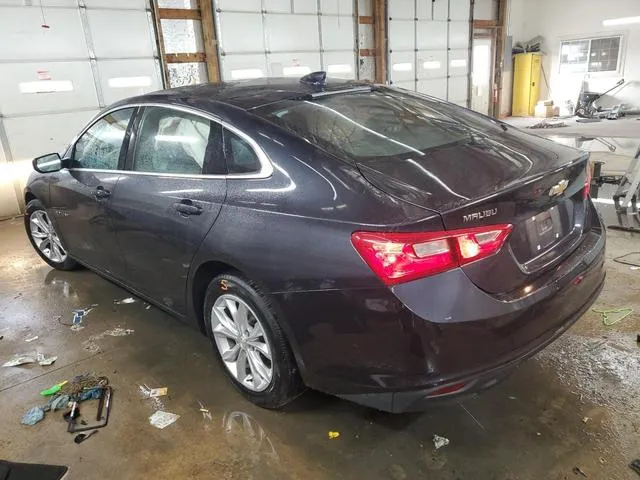 1G1ZD5ST8PF245340 2023 2023 Chevrolet Malibu- LT 2