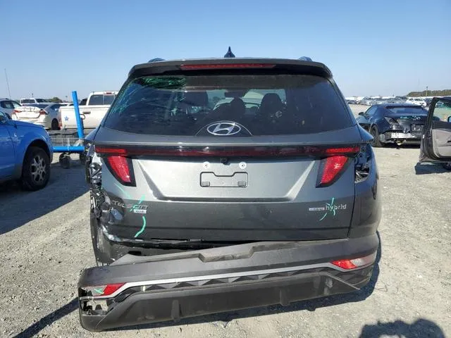 KM8JBCD15RU202160 2024 2024 Hyundai Tucson- Blue 6