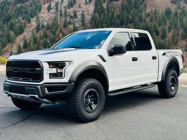 1FTFW1RG1HFB66020 2017 2017 Ford F-150- Raptor 2