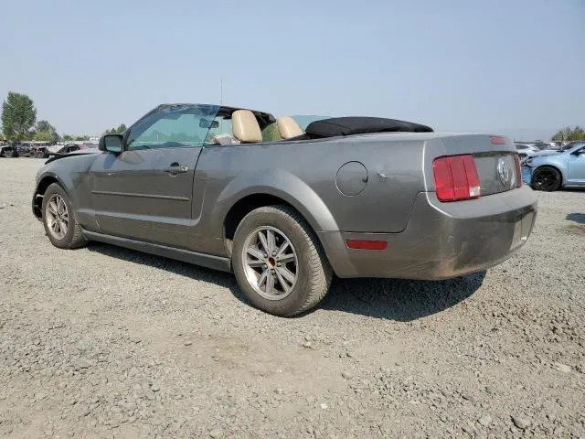 1ZVFT84N955219908 2005 2005 Ford Mustang 2