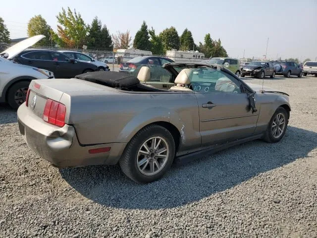 1ZVFT84N955219908 2005 2005 Ford Mustang 3