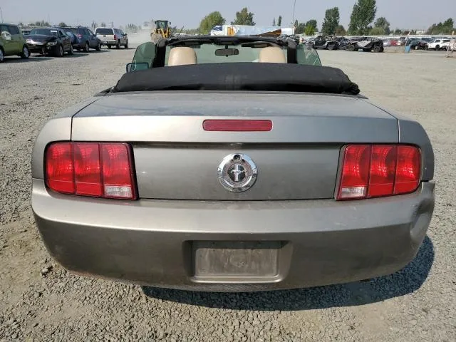 1ZVFT84N955219908 2005 2005 Ford Mustang 6