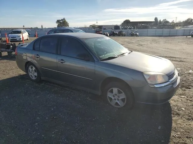 1G1ZT54805F111981 2005 2005 Chevrolet Malibu- LS 4