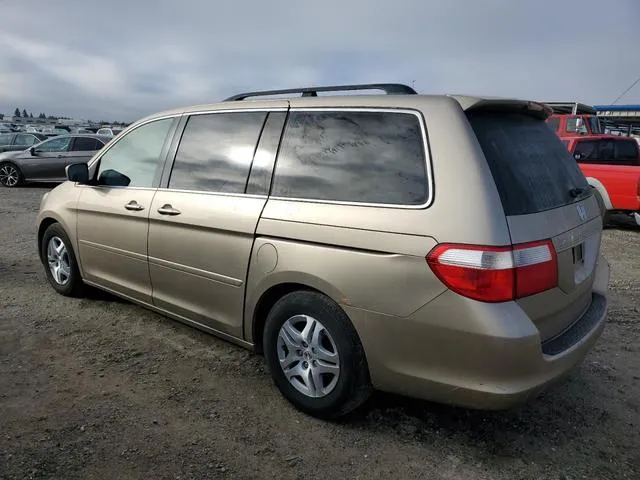 5FNRL38725B019272 2005 2005 Honda Odyssey- Exl 2