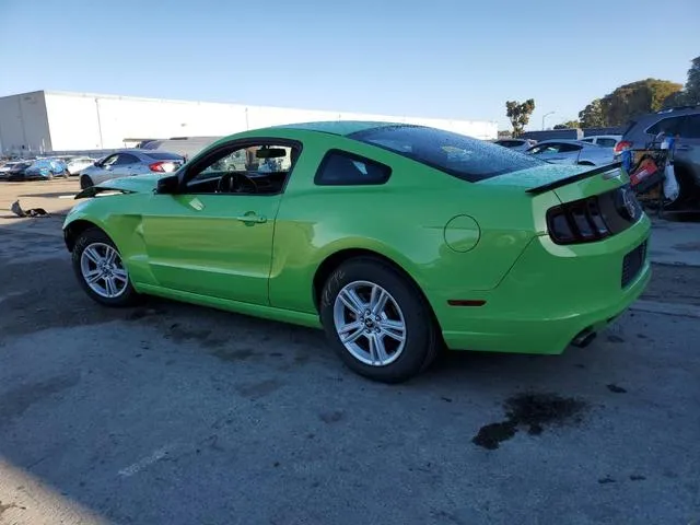 1ZVBP8AM0D5271859 2013 2013 Ford Mustang 2