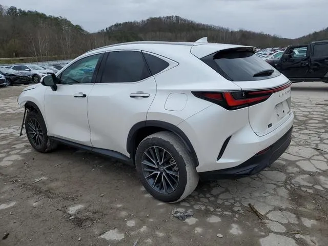 2T2GGCEZ9RC058514 2024 2024 Lexus NX- 350 Premium 2