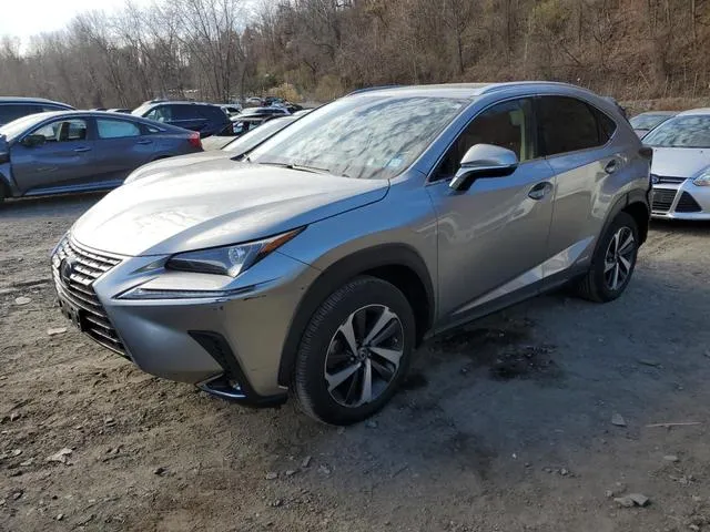 JTJGJRDZ0L2134196 2020 2020 Lexus NX- 300H 1