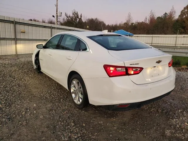 1G1ZD5ST3RF231302 2024 2024 Chevrolet Malibu- LT 2