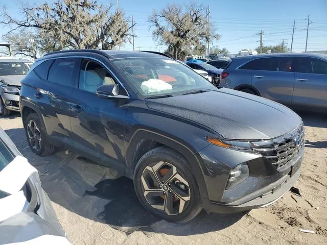 5NMJECDEXRH348995 2024 2024 Hyundai Tucson- Limited 4