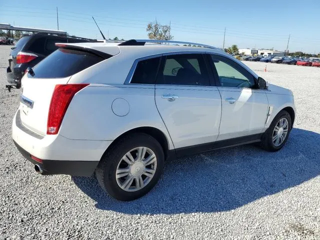 3GYFNAEY1AS619419 2010 2010 Cadillac SRX- Luxury Collection 3