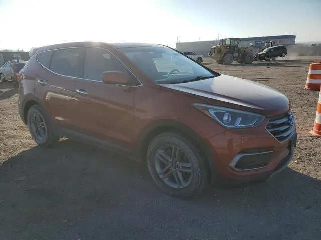 5XYZTDLB9HG405007 2017 2017 Hyundai Santa Fe 4