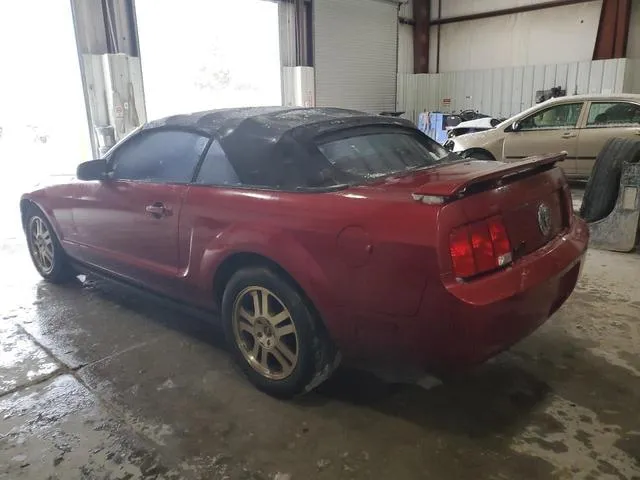 1ZVFT84N755170420 2005 2005 Ford Mustang 2