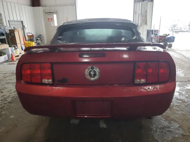 1ZVFT84N755170420 2005 2005 Ford Mustang 6