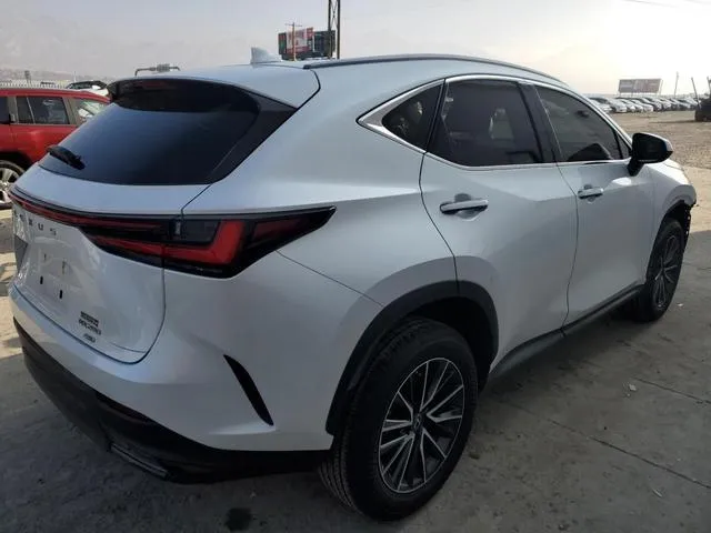 JTJADCEZ7P2002342 2023 2023 Lexus NX- 250 3