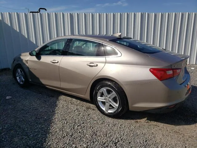 1G1ZD5ST0PF156295 2023 2023 Chevrolet Malibu- LT 2