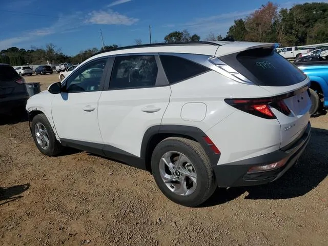 5NMJB3DE1RH347422 2024 2024 Hyundai Tucson- Sel 2