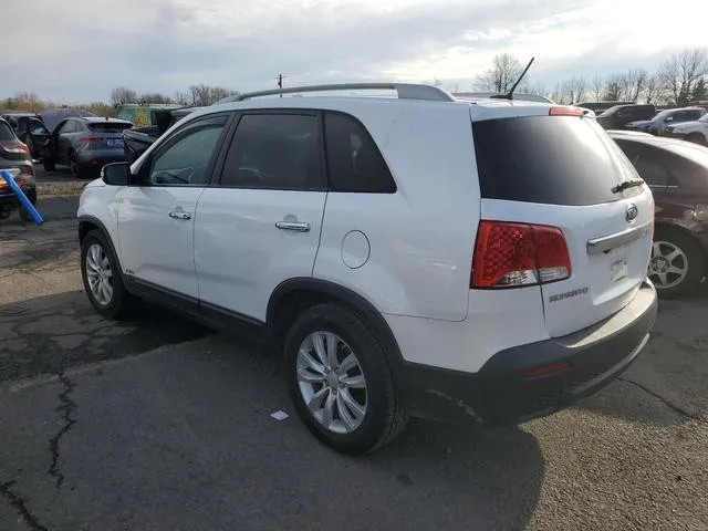 5XYKTDA26BG121331 2011 2011 KIA Sorento- Base 2