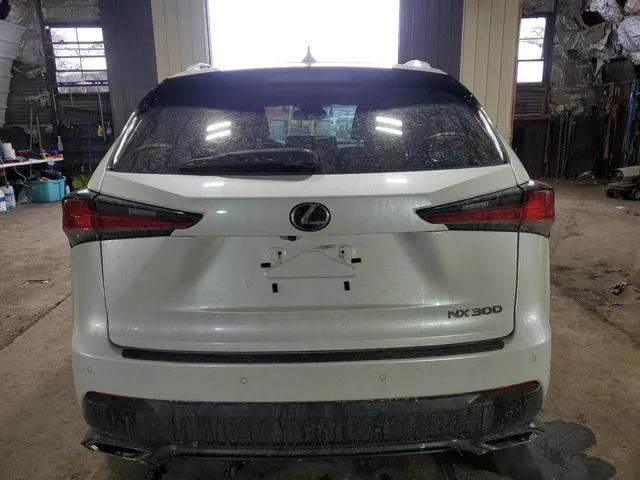 JTJDARDZ0L2226461 2020 2020 Lexus NX- 300 6