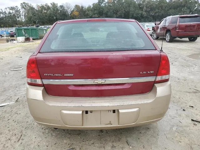 1G1ZT64895F324031 2005 2005 Chevrolet Malibu- Maxx Ls 6