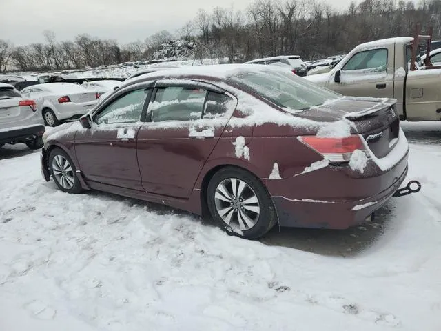 JHMCP26369C012251 2009 2009 Honda Accord- LX 2