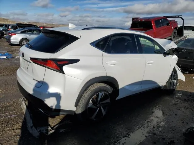 JTJGARDZ1L2234498 2020 2020 Lexus NX- 300 3