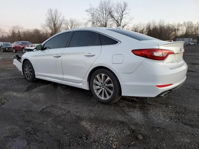 5NPE34AF6GH358515 2016 2016 Hyundai Sonata- Sport 2