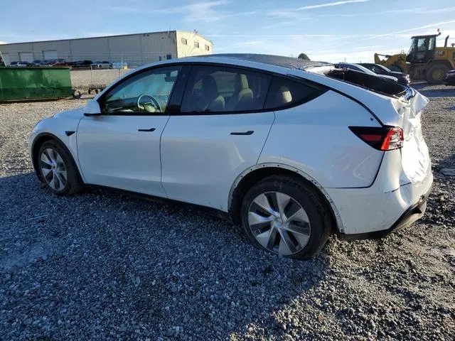 5YJYGDEE6MF081281 2021 2021 Tesla MODEL Y 2