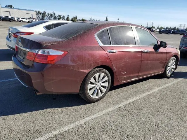 1HGCR2F89DA149911 2013 2013 Honda Accord- Exl 3