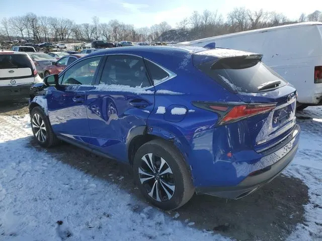 JTJSARDZ7L2221961 2020 2020 Lexus NX- 300 F Sport 2