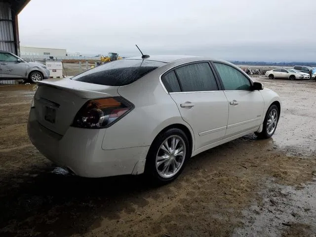 1N4CL21E28C257042 2008 2008 Nissan Altima- Hybrid 3