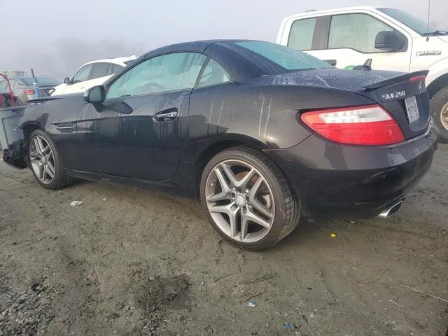 WDDPK4HA3EF086797 2014 2014 Mercedes-Benz SLK-Class- 250 2