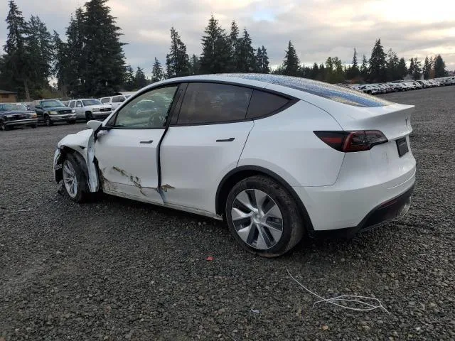 5YJYGAEDXMF174021 2021 2021 Tesla MODEL Y 2