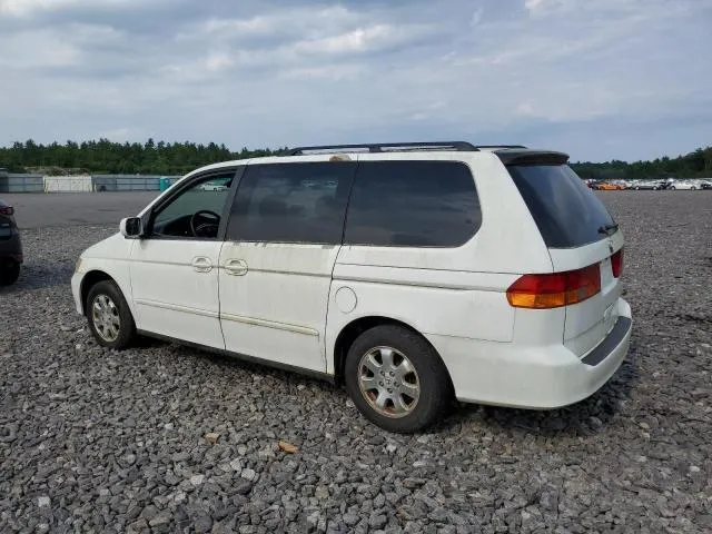 5FNRL189X4B121004 2004 2004 Honda Odyssey- Exl 2