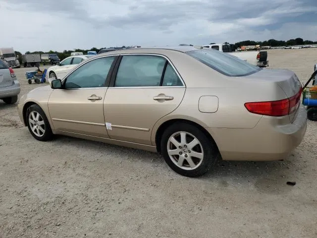 1HGCM66565A005066 2005 2005 Honda Accord- EX 2