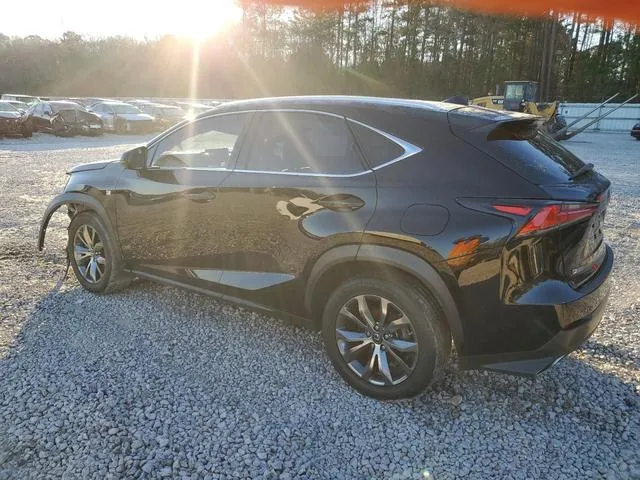 JTJSARBZ6L2169645 2020 2020 Lexus NX- 300 F Sport 2