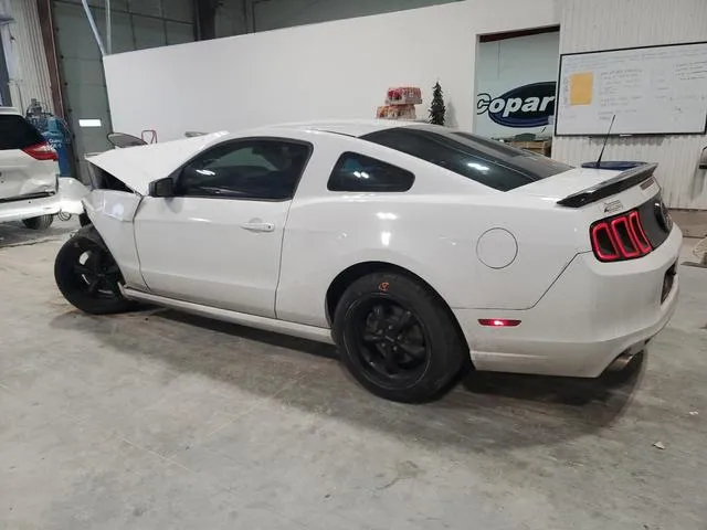 1ZVBP8AM9E5306352 2014 2014 Ford Mustang 2