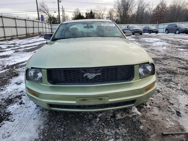 1ZVFT80N655162458 2005 2005 Ford Mustang 5