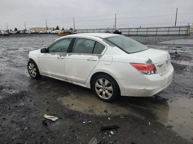 5KBCP3F89AB001160 2010 2010 Honda Accord- Exl 2