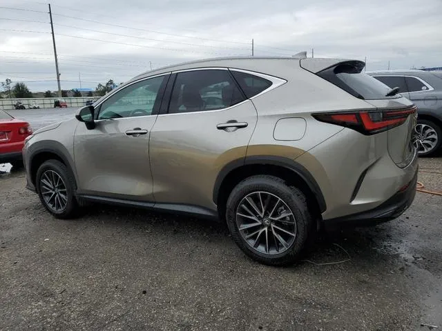 2T2GDCAZ6SC021165 2025 2025 Lexus NX- 250 Premium 2