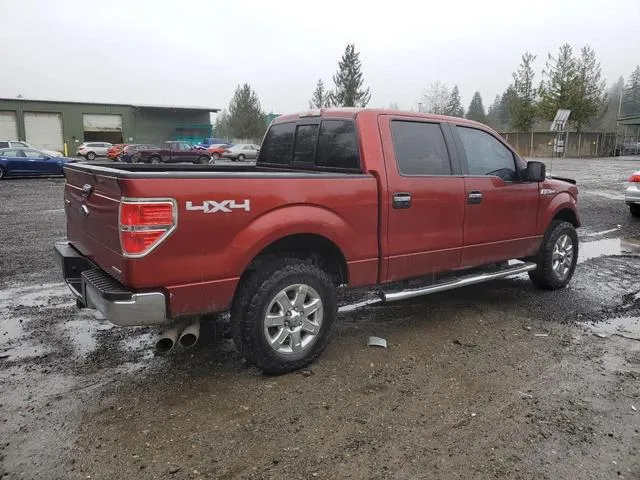 1FTFW1EF8EKD07262 2014 2014 Ford F-150- Supercrew 3