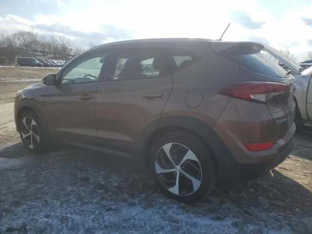 KM8J3CA24GU025821 2016 2016 Hyundai Tucson- Limited 2