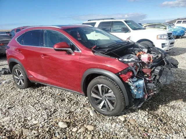 JTJGJRDZ0L2143996 2020 2020 Lexus NX- 300H 4