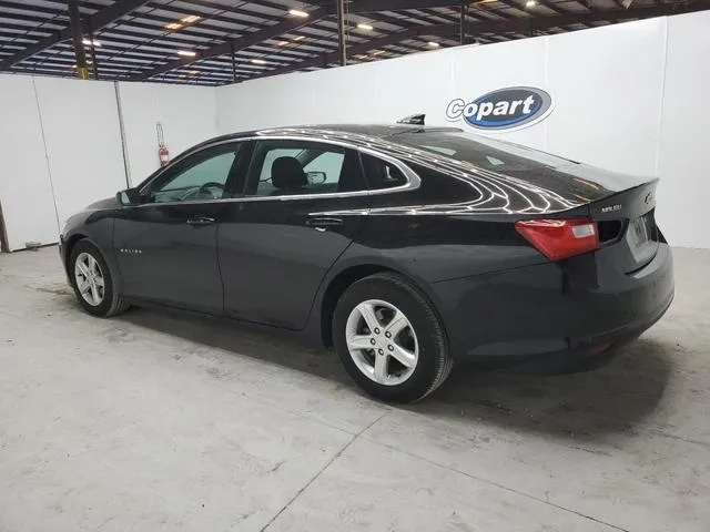 1G1ZD5ST8RF169783 2024 2024 Chevrolet Malibu- LT 2