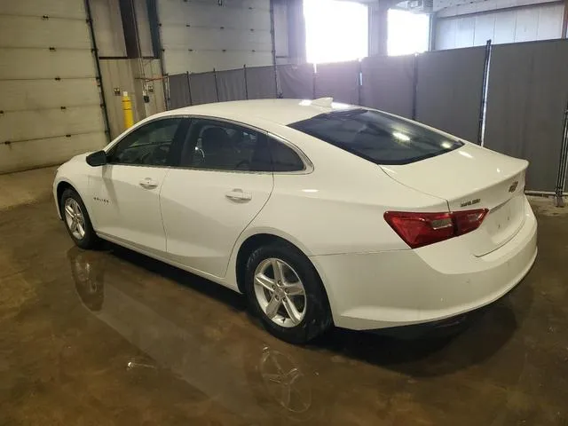 1G1ZD5ST0PF160590 2023 2023 Chevrolet Malibu- LT 2