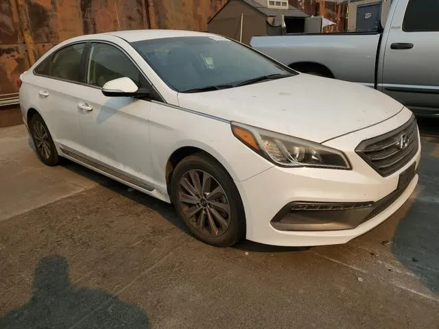 5NPE34AF7GH367224 2016 2016 Hyundai Sonata- Sport 4