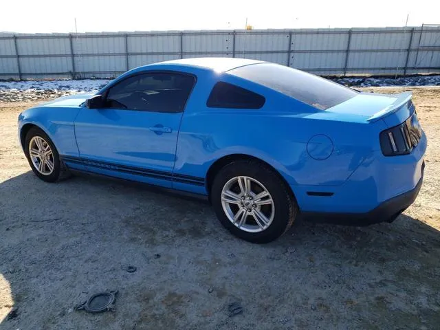 1ZVBP8AM0B5139536 2011 2011 Ford Mustang 2