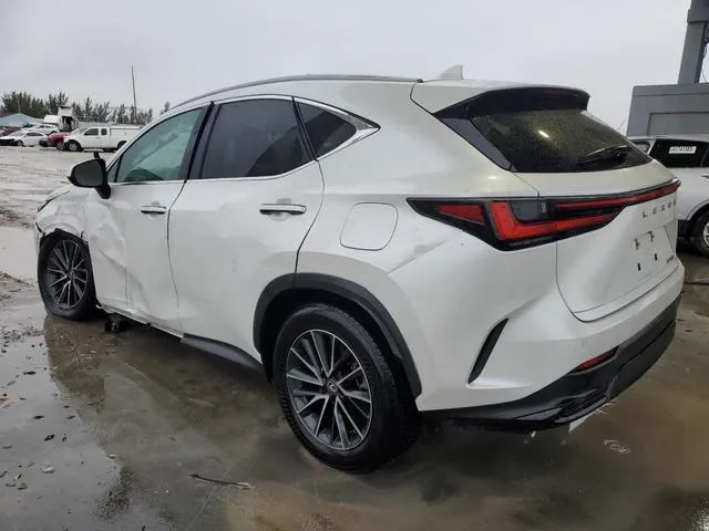 2T2GDCAZ2RC012246 2024 2024 Lexus NX- 250 Premium 2