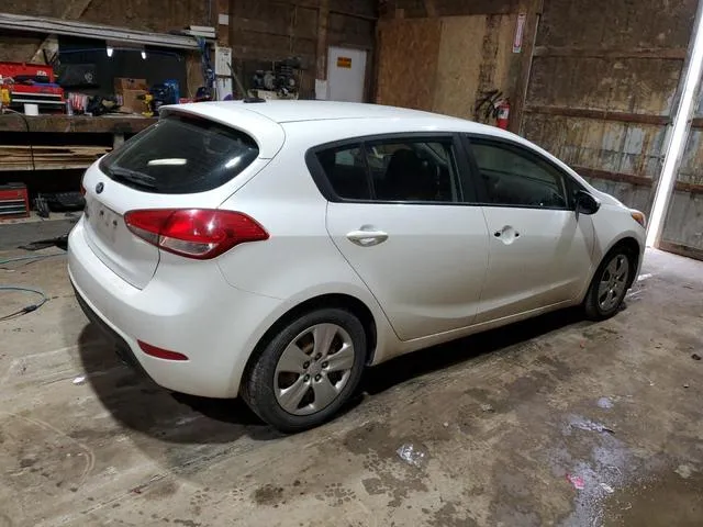 KNAFK5A80G5591155 2016 2016 KIA Forte- LX 3