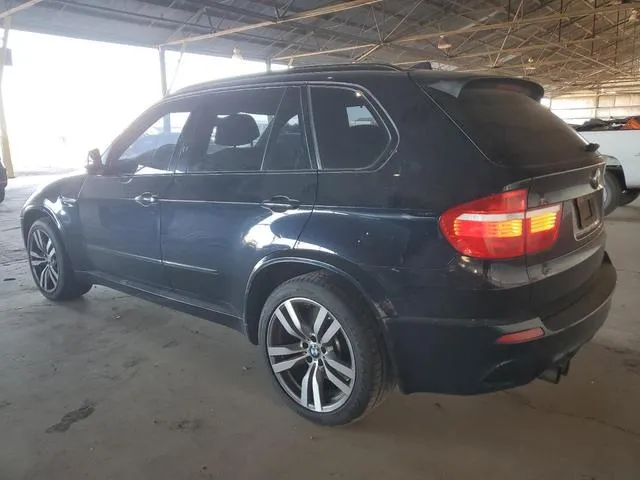 5YMGY0C54ALK25673 2010 2010 BMW X5- M 2